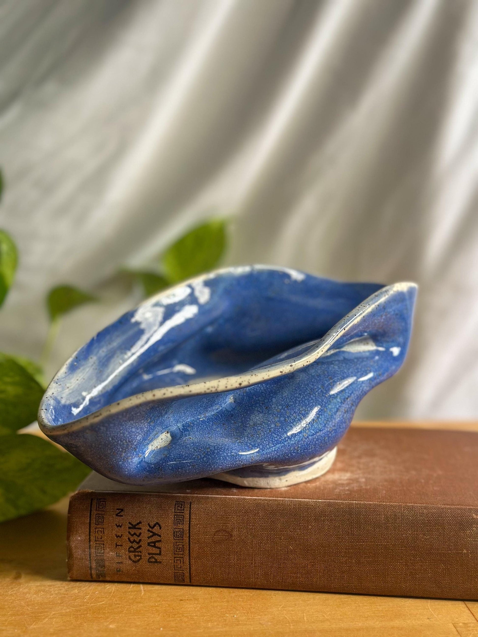 Ceramic Hugged Bowl – Decorative Display Piece