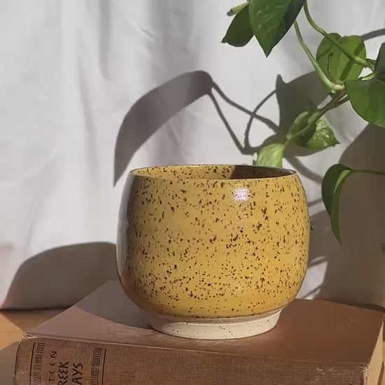 yellow speckled bowl